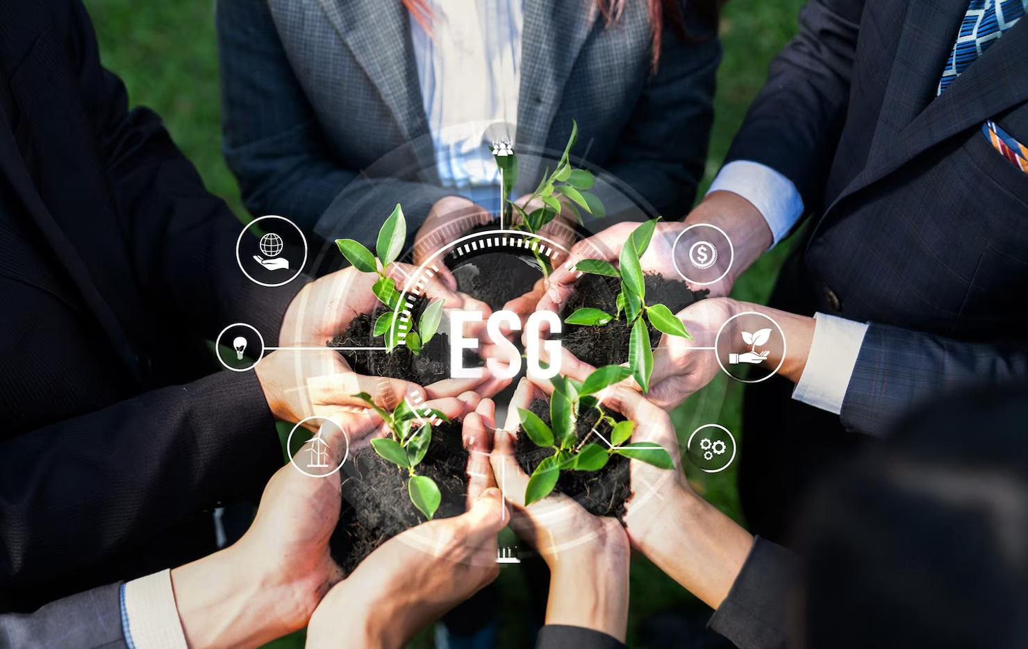 Sustainable Sourcing